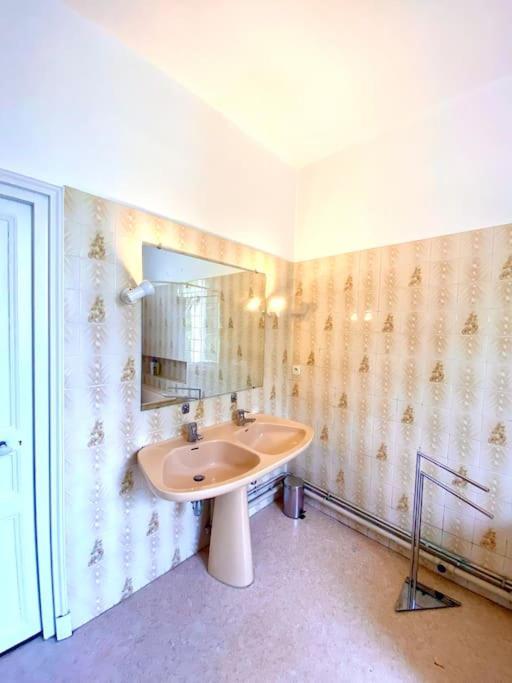 Vila Demeure St Martin Vierzon Exteriér fotografie